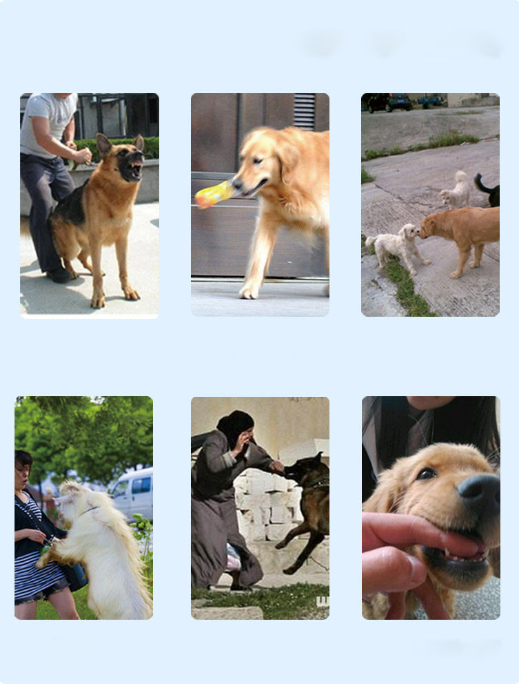Rechargeable dog training device with long-lasting battery
