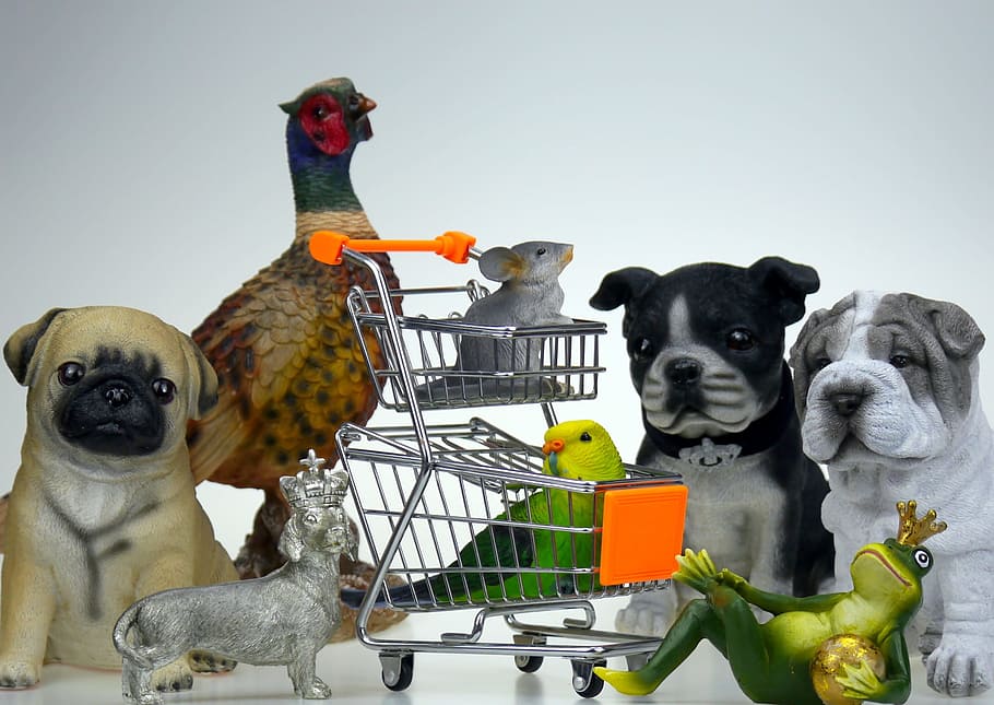 Pet shop - pet supplies