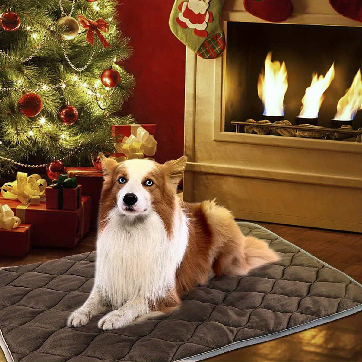 Extra Warm Thermal Pet Pad, Self-Heating Matt for outdoor & Indoor