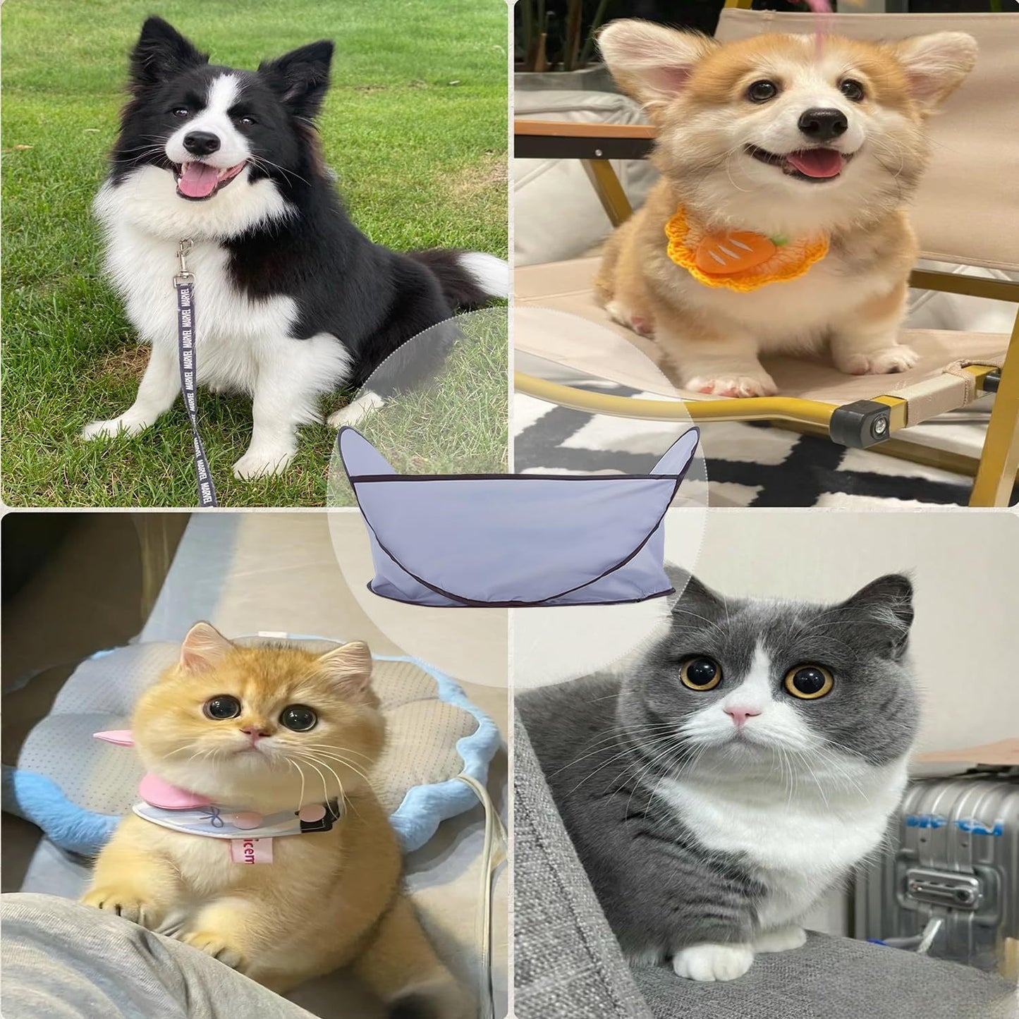 Easy Dog And Cat Hair Catcher Tent - Waterproof Adjustable For Easy Trimming And Shaving Pet Grooming