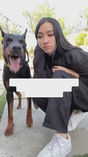 1.mp4